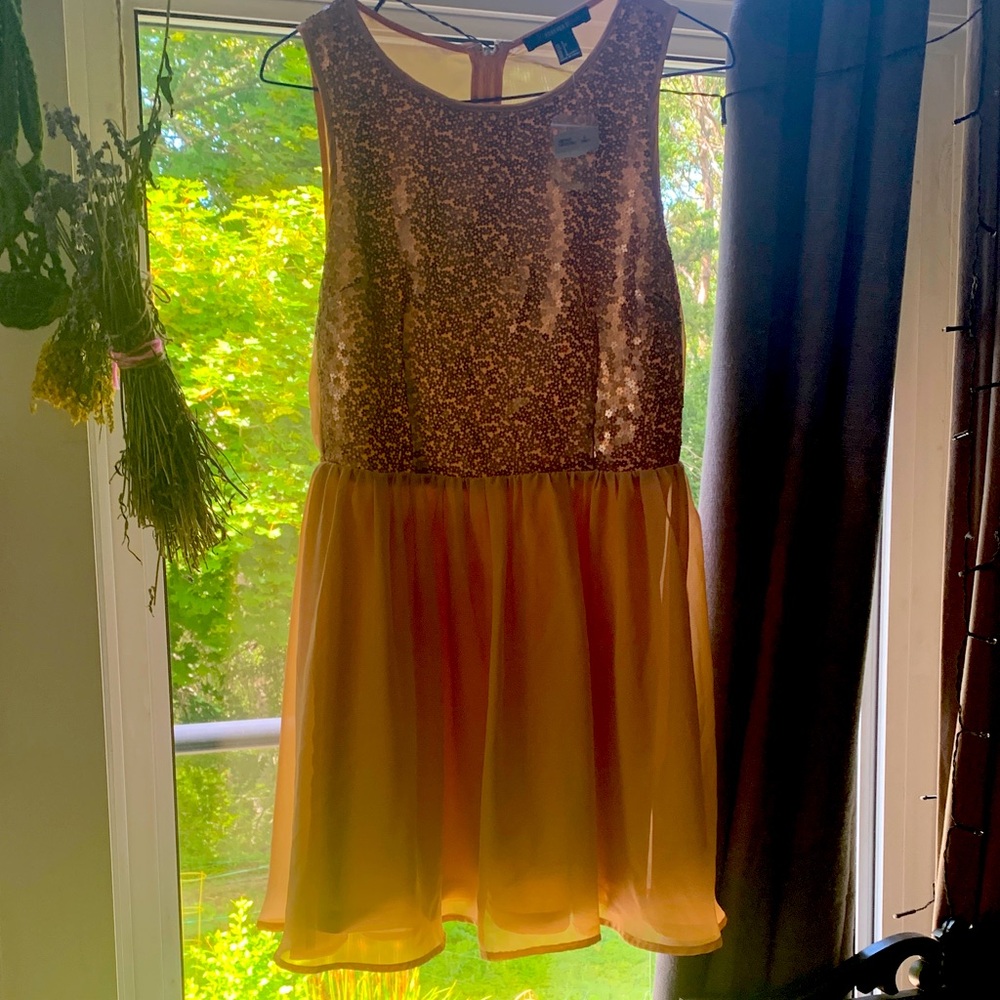 Sequin and Chiffon Sleeveless Dress